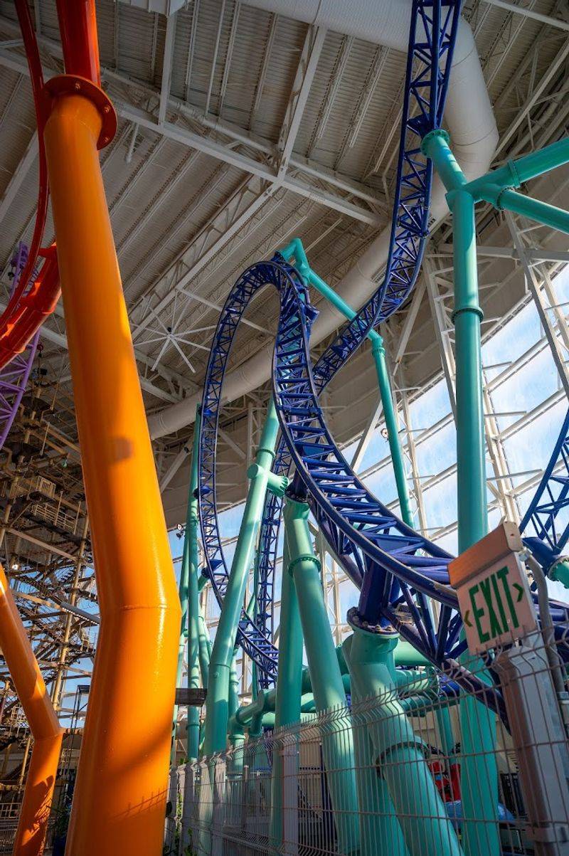 A Coaster That Earns Its Reputation A Coaster That Earns Its Reputation