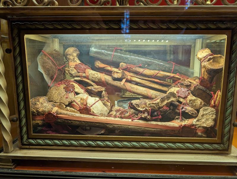 A Collection That Defies Expectations A Collection That Defies Expectations