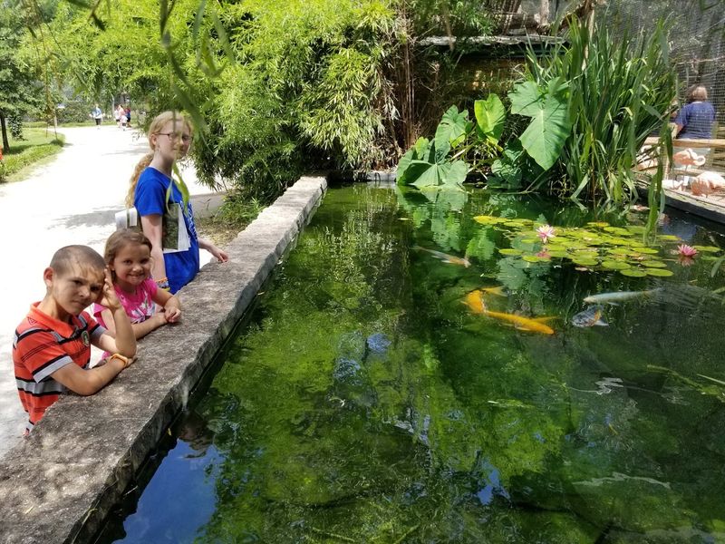 A Day Out the Whole Family Can Enjoy