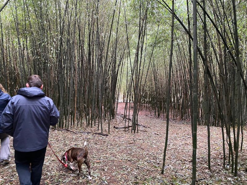 A Dog-Friendly Destination Worth Knowing About A Dog-Friendly Destination Worth Knowing About