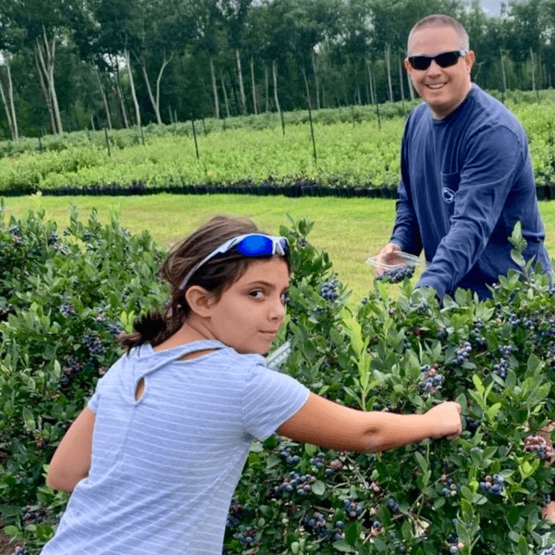 A Family Farm Story Rooted In Blueberries A Family Farm Story Rooted In Blueberries