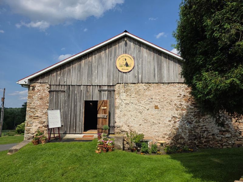 The Remarkable History Behind the Fields
