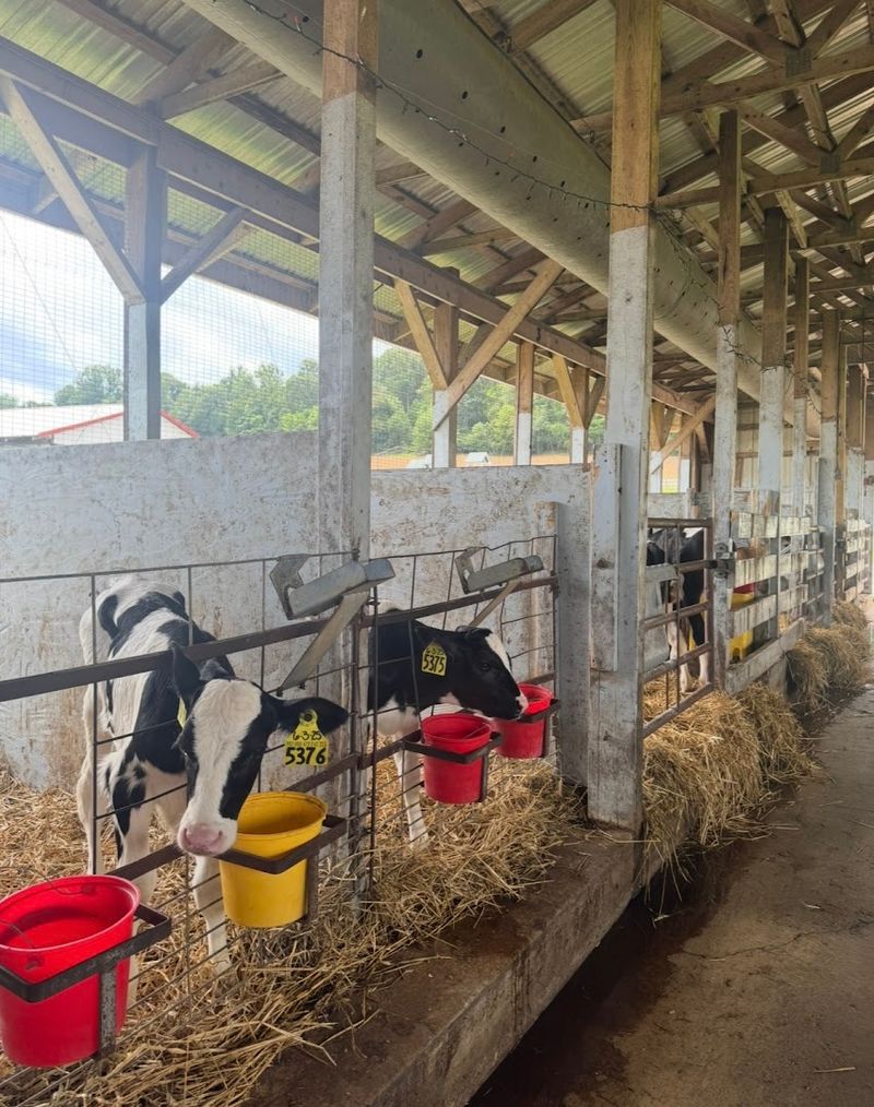 A Farm That Earns Its Reputation