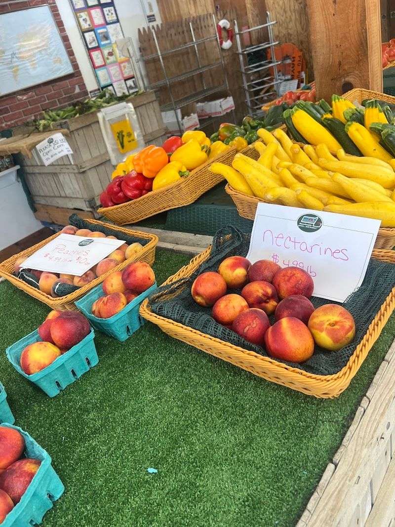 A Farm That Supports the Local Food System