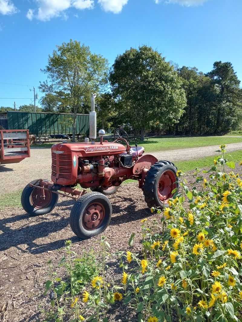 A Farm With Deep Roots on the Cape