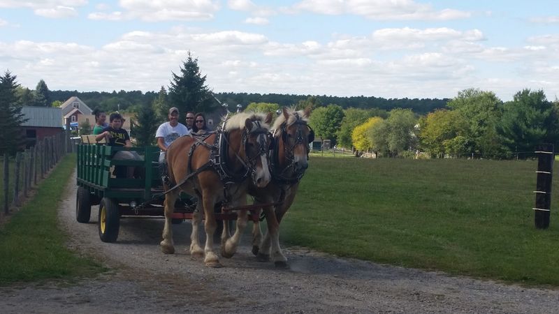 A Farm With Deep Seasonal Roots