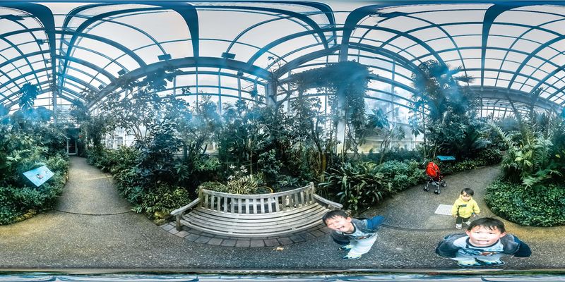 A Fluttering Hideaway in the Heart of Durham A Fluttering Hideaway in the Heart of Durham