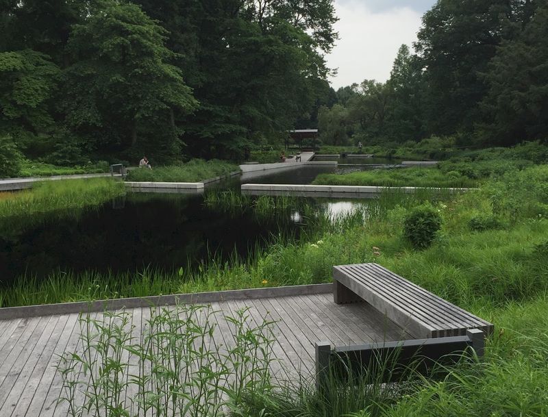 A Forest That Fits Every Age Group