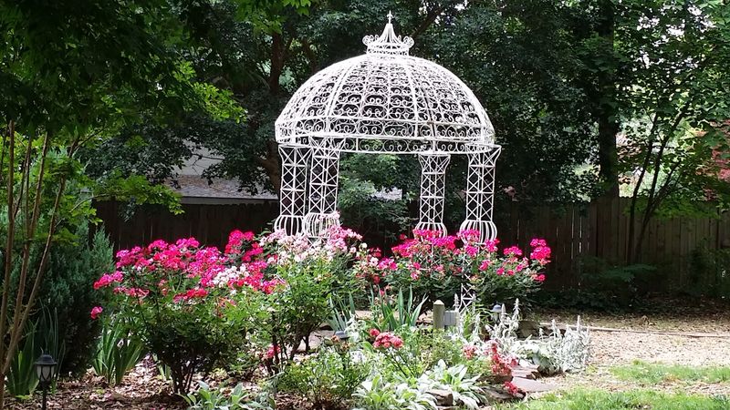 A Garden Built on Volunteer Love and Community Pride