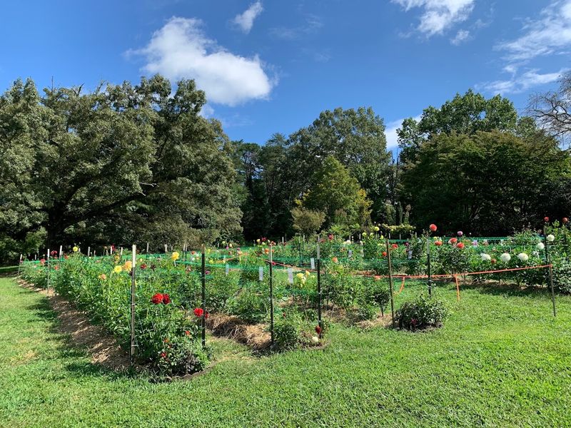 A Garden Built on Volunteer Power A Garden Built on Volunteer Power