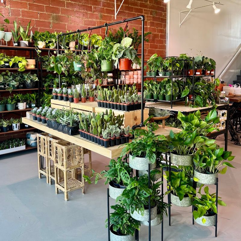 A Hidden Urban Oasis Right in the Heart of OKC A Hidden Urban Oasis Right in the Heart of OKC