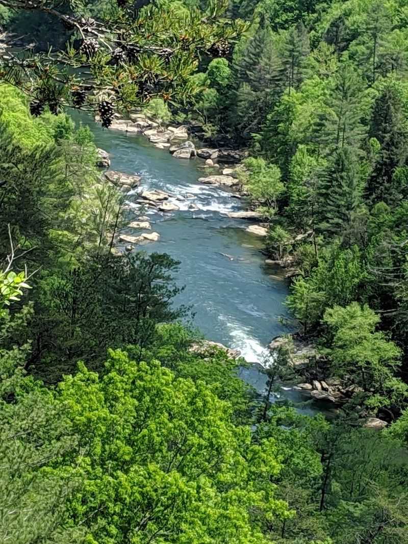 A History Rooted in Conservation A History Rooted in Conservation