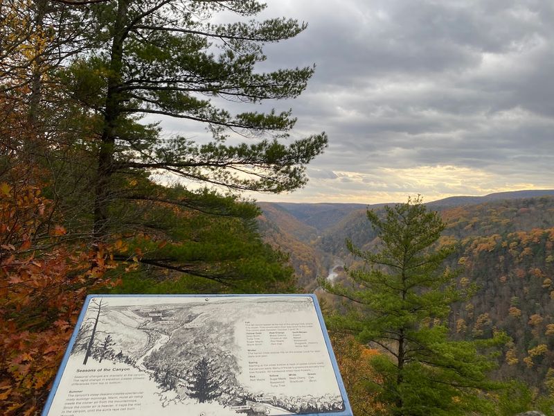 A History Written in Timber, Rails, and Conservation Effort