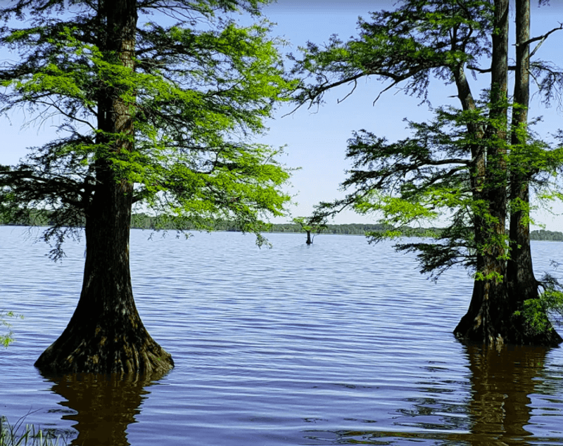 A Lake Born From the Earth Breaking Apart A Lake Born From the Earth Breaking Apart