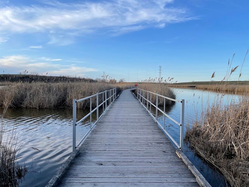 A Lyndhurst Park With A Marshland Surprise A Lyndhurst Park With A Marshland Surprise