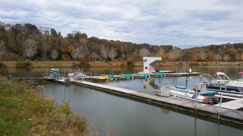A Marina That Actually Has Things To Do