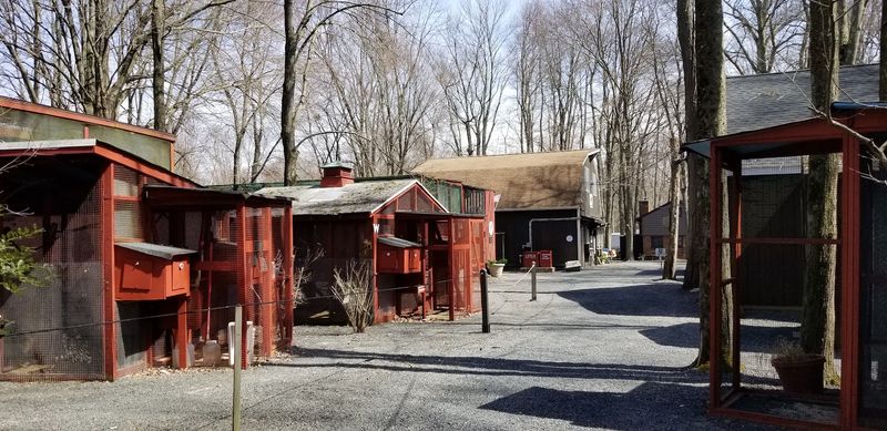 A Millington bird hospital with public pathways