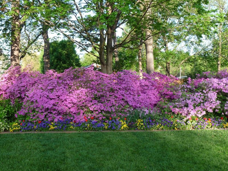 A Natural Backdrop for Life's Special Moments A Natural Backdrop for Life's Special Moments