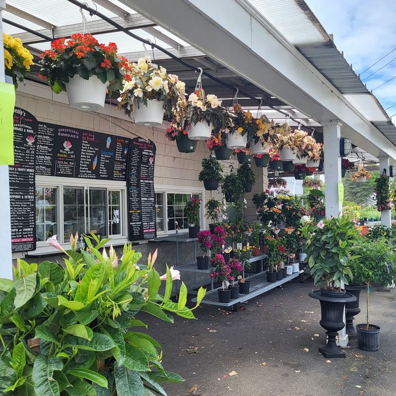 A Nursery That Is Actually Worth Browsing A Nursery That Is Actually Worth Browsing