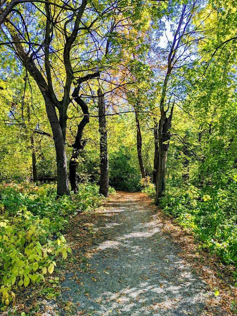 A Park That Quietly Surprises First-Time Visitors A Park That Quietly Surprises First-Time Visitors