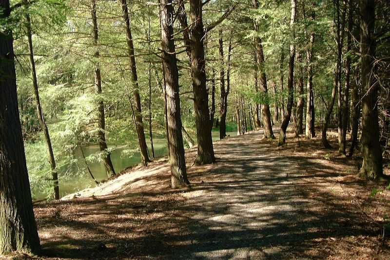 A Park With a Pioneering Address A Park With a Pioneering Address