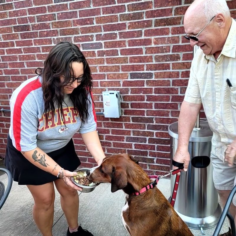 A Patio, a Dog Menu, and a Welcoming Space for the Whole Family A Patio, a Dog Menu, and a Welcoming Space for the Whole Family