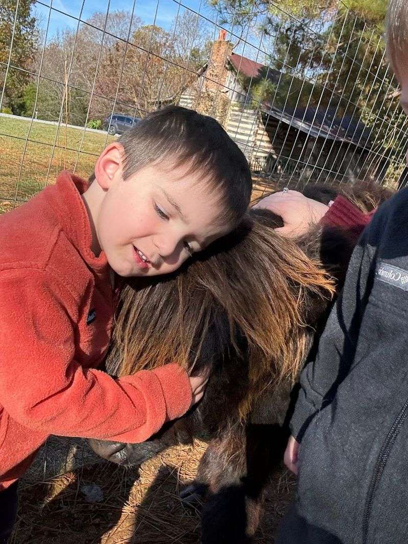 A Petting Zoo That Goes Beyond the Basics