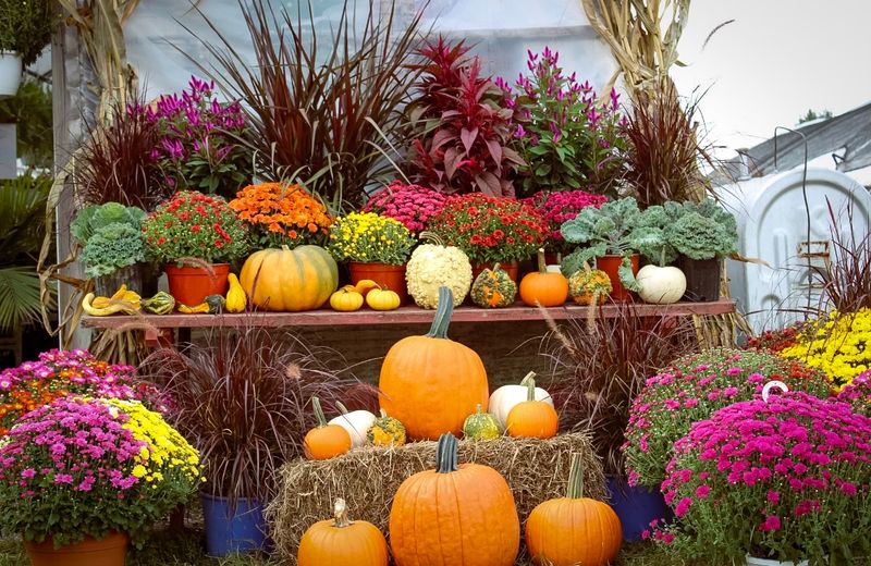 A Rainbow of Seasonal Flowers A Rainbow of Seasonal Flowers