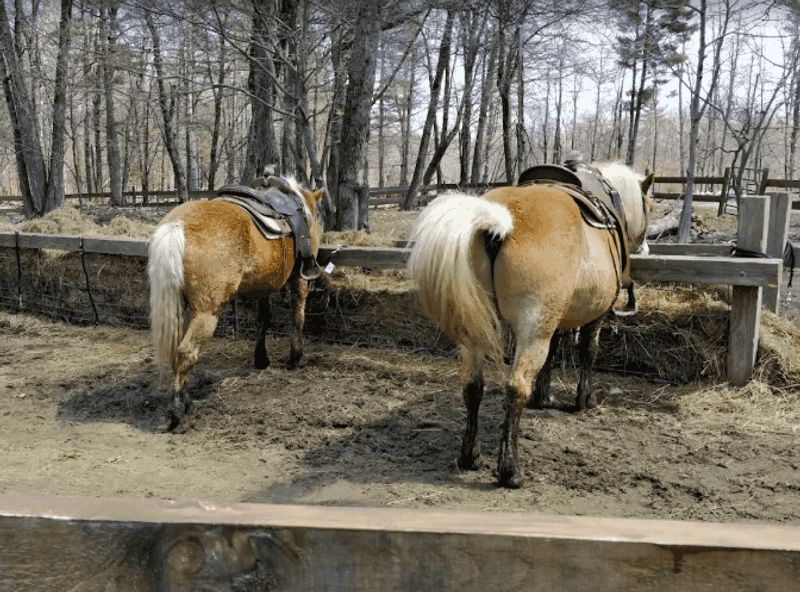 A Ranch Built on Genuine Passion A Ranch Built on Genuine Passion