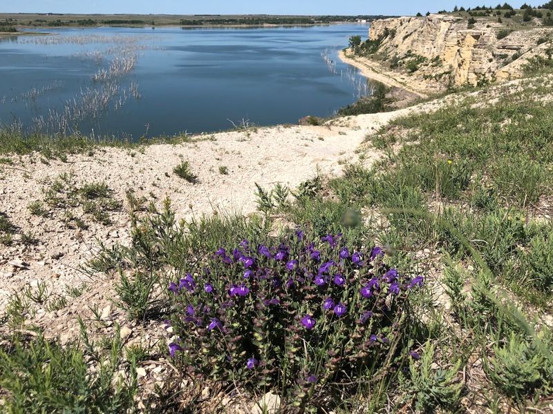 A Reservoir That Rewrote the Landscape