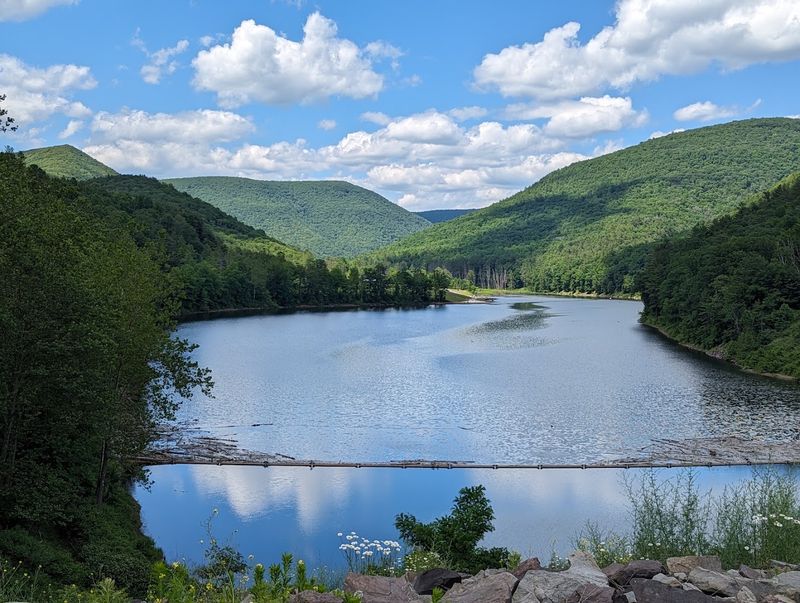 A Sanctuary Nestled Deep in Lycoming County