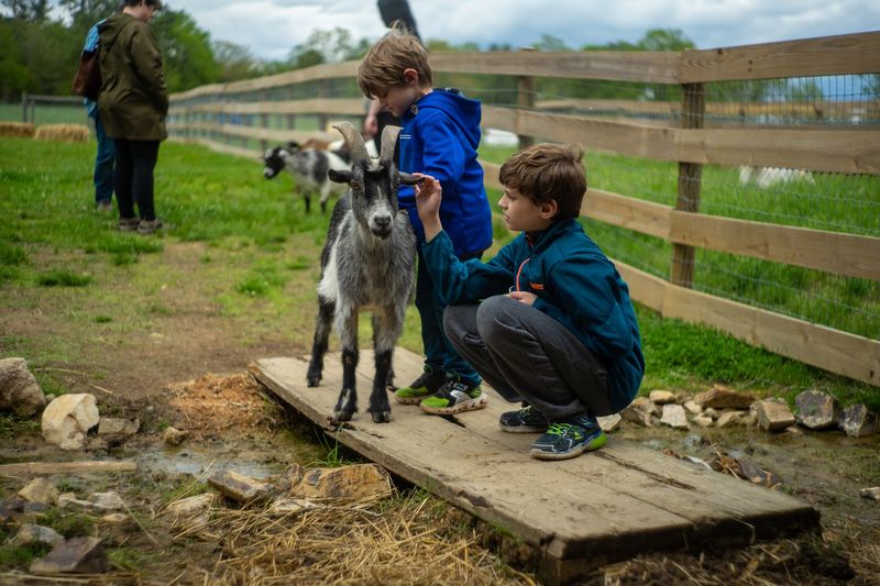 A Sanctuary, Not a Petting Zoo A Sanctuary, Not a Petting Zoo
