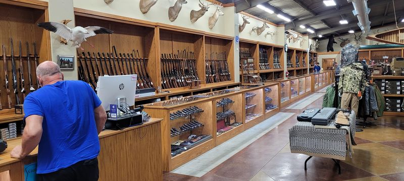 A Separate Building Dedicated to Firearms A Separate Building Dedicated to Firearms