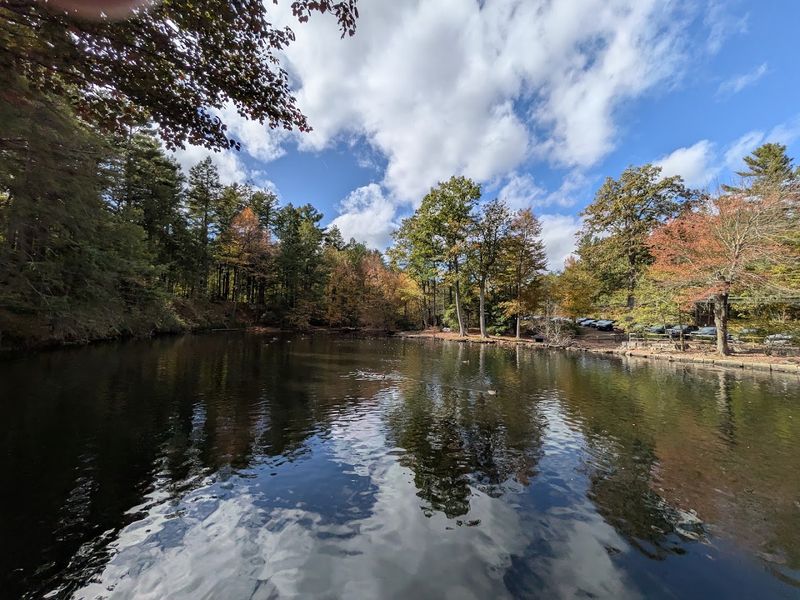 A Setting That Changes With the Seasons