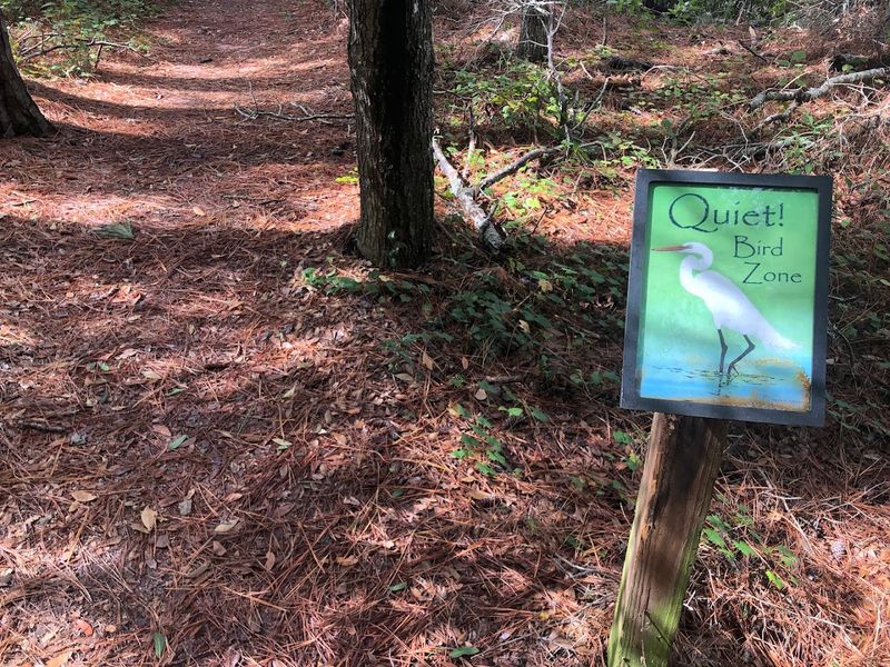 A Small Trail Worth Earning A Small Trail Worth Earning