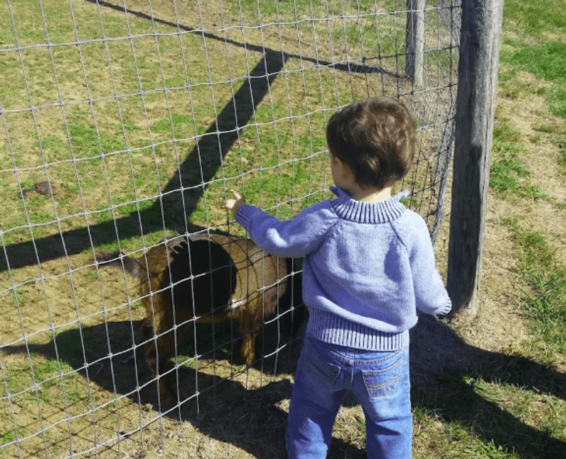 A Spot Built for the Youngest Guests