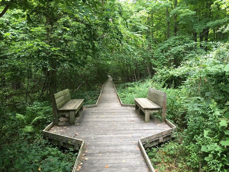 A Trail Network Built for Everyone