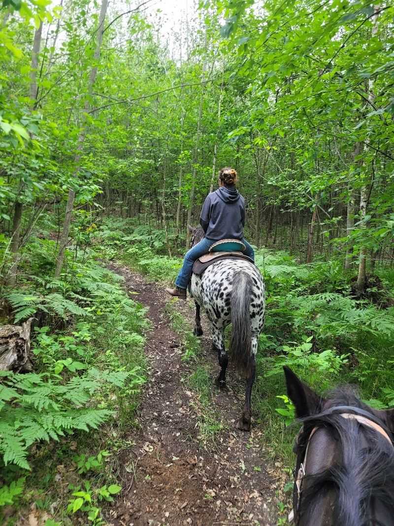 A Trail Ride Tailored to Every Rider A Trail Ride Tailored to Every Rider
