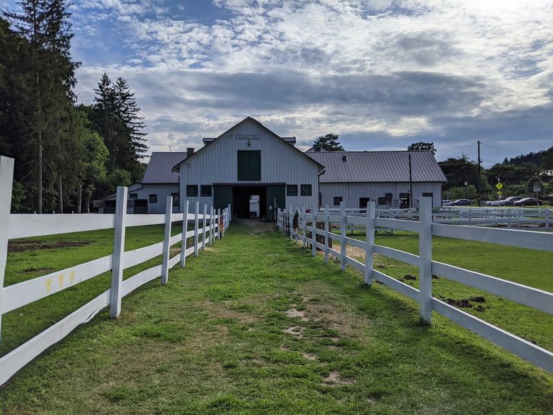 A Victorian Estate Turned Living, Breathing Farm A Victorian Estate Turned Living, Breathing Farm
