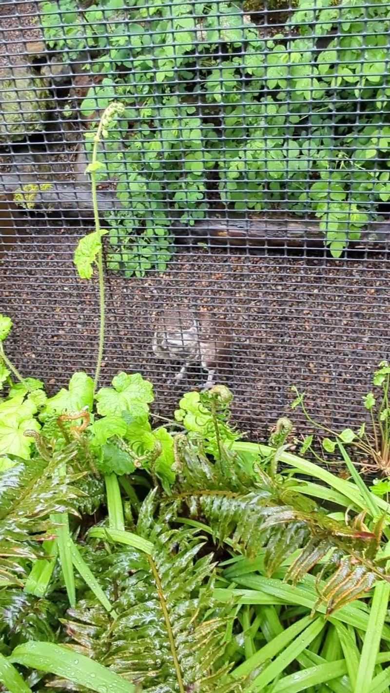 A Wildlife Hospital That Goes Above and Beyond A Wildlife Hospital That Goes Above and Beyond