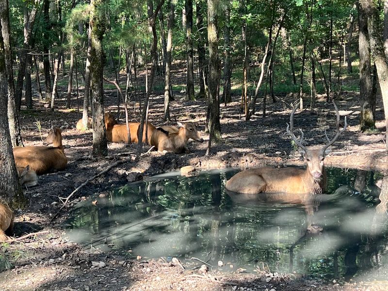 A Wildlife Sanctuary Built on Real Animal Care A Wildlife Sanctuary Built on Real Animal Care