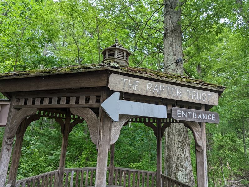 A wooded setting near the Great Swamp