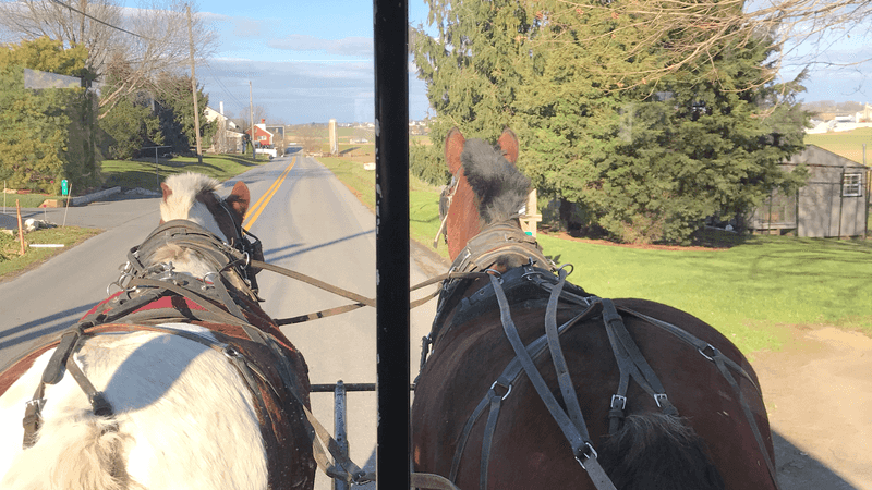 Aaron & Jessica's Buggy Rides, Bird-in-Hand, Pennsylvania Aaron & Jessica's Buggy Rides, Bird-in-Hand, Pennsylvania