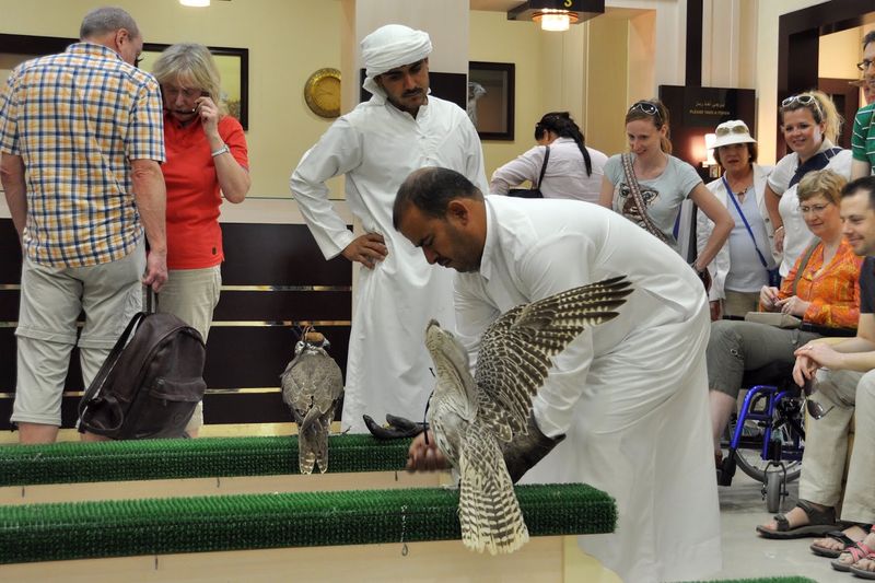 Abu Dhabi Falcon Hospital, Abu Dhabi, UAE
