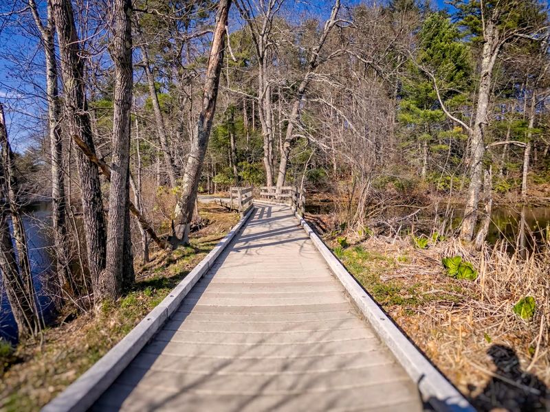 Accessibility and Paved Paths: The Park Works for Everyone