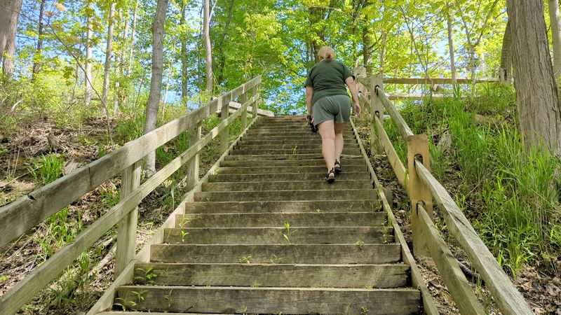 Accessibility and What to Know Before You Go Accessibility and What to Know Before You Go