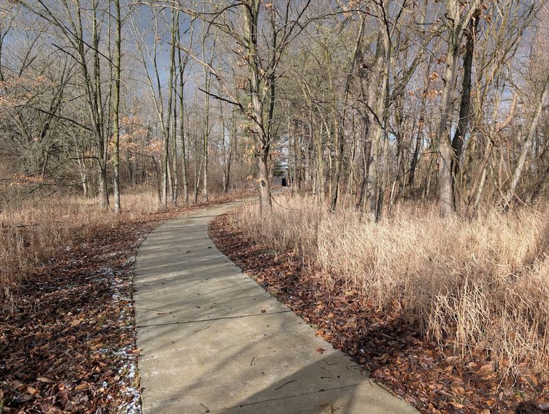 Accessible Trails That Welcome Everyone