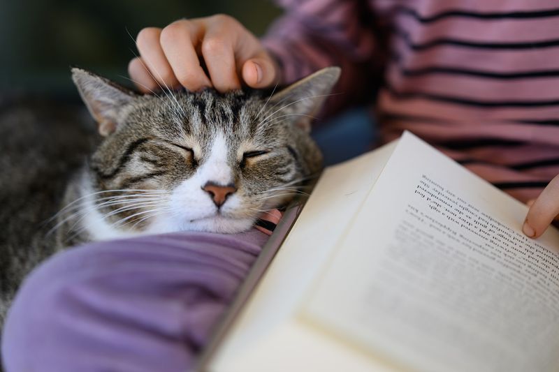 Adoptions With Time To Choose Carefully Adoptions With Time To Choose Carefully
