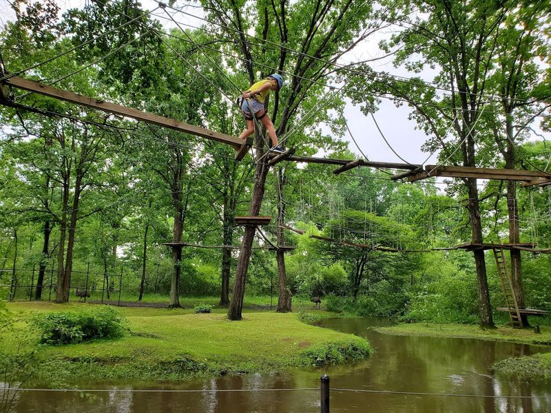 Adrenaline in the Treetops: The Zipline and Adventure Activities Adrenaline in the Treetops: The Zipline and Adventure Activities