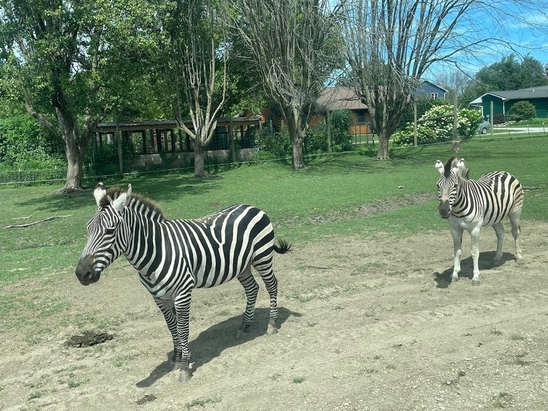 Aikman Wildlife Adventure — Arcola, Illinois